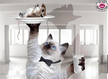 TIEY DJINAKH AK MOUSSE